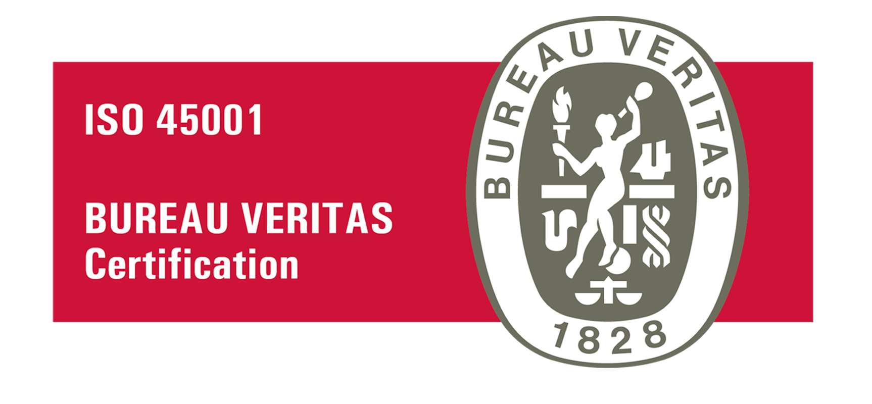  ISO 45001:2018 health and safety management standard